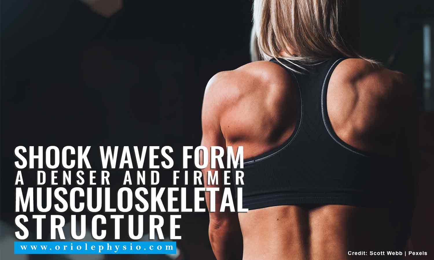 Shock waves form a denser and firmer musculoskeletal structure